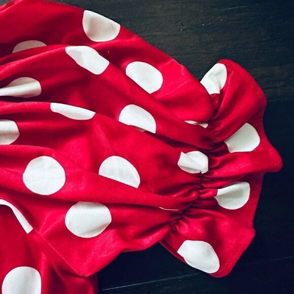 Vintage California Costumes Little Miss Minnie Mouse Adult Halloween Costume - Picture 7 of 8